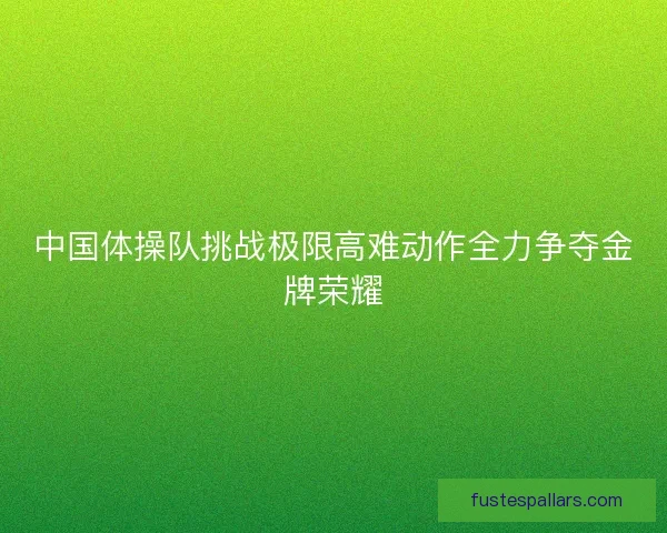 中国体操队挑战极限高难动作全力争夺金牌荣耀