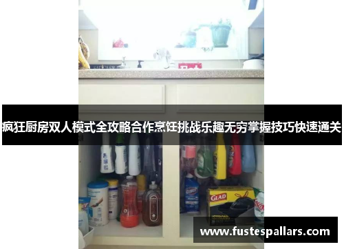 疯狂厨房双人模式全攻略合作烹饪挑战乐趣无穷掌握技巧快速通关